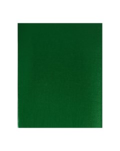 Тетрадь 48 листов в клетку на скрепке METALLIC Зеленая обложка бумвинил блок офсет Hatber