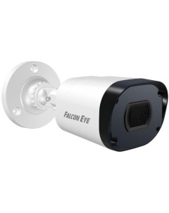 Камера видеонаблюдения FE IPC BP2e 30p белый Falcon eye