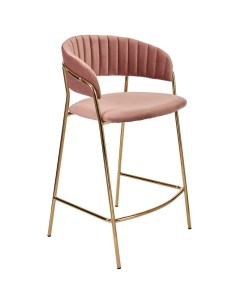 Полубарный стул Turin FR 0163 золотистый пудровый Bradex