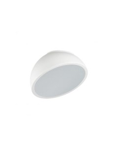 Потолочный светильник PLUTO WHITE Sonex