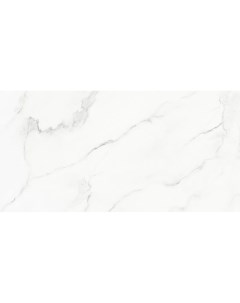 Керамогранит Marble Statuario Carmel ENMAR1029MT60120 60х120 см Ennface