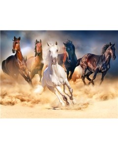 Алмазная мозаика стразами Бегущие лошади 00115251 40х50 см Ripoma