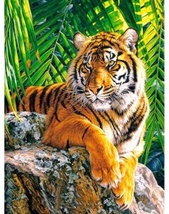 Алмазная мозаика картина стразами Тигр 30х40 см Nobrand