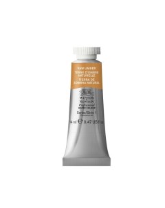 Акварель Professional умбра натуральная 14 мл Winsor & newton