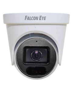 IP камера FE ID4 30 2 8 2 8 мм цв Falcon eye
