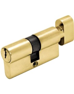 03010 цилиндр DIN ключ завертка 30 30 S60 золото Schloss