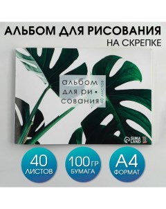 Альбом для рисования на скрепках А4 40 л Растение бумага 100 гр 2шт Artfox study