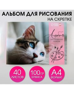 Альбом для рисования на скрепках А4 40 л Котёнок бумага 100 г м2 2шт Artfox study