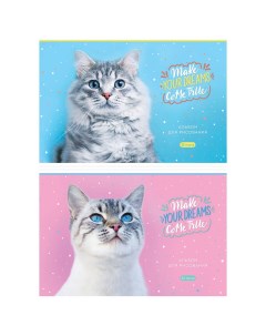 Альбом для рисования 32л А4 на скрепке Питомцы Funny cats 5шт Artspace