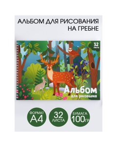Альбом для рисования А4 на гребне 32 листа Лесные животные обложка 200 г м2 бумага 2шт Artfox study
