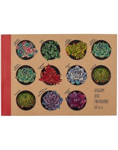 Альбом для рисования 40л А4 Коллекция цветов склейка крафт картон Канц-эксмо