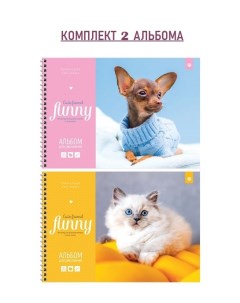 Альбом для рисования 40л А4 Питомцы Funny pets комплект 2 шт Artspace
