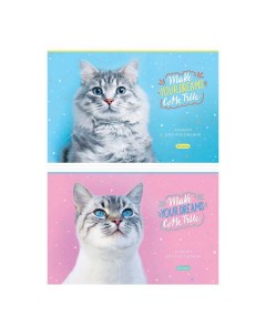 Альбом для рисования Питомцы Funny cats А4 32 листа в ассортименте Artspace