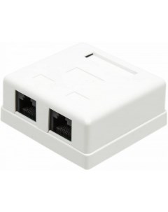 Компьютерная розетка настенная SM2 4545 WH 2 порта RJ 45 категории 5е белая Twt