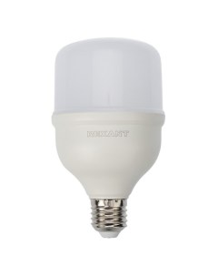 Лампа 604 069 светодиодная высокомощная 30 Вт E27 с переходником на E40 2850 лм 6500 K холодный свет Rexant