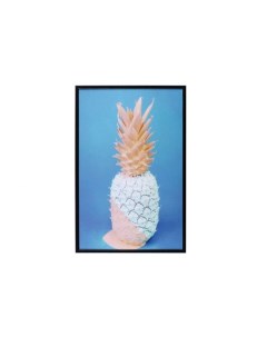 Картина Pineapple 19х29см Ogogo