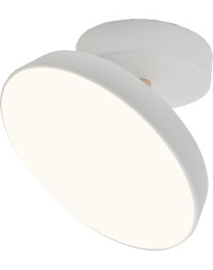 Потолочный светодиодный светильник 14Вт металл акрил белый Escada