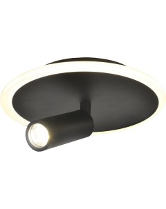 Настенно потолочный светодиодный светильник 20Вт металл акрил черный Escada