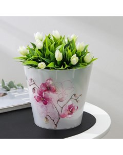 Цветочное кашпо для орхидей фиджи 3520163 1 6 л микс 1 шт Ingreen
