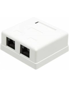 Компьютерная розетка настенная SM2 4545 S6 WH 2 порта RJ 45 категории 6 STP белая Twt