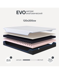 Ортопедический матрас Evo Foam 120х200 см беспружинный Darwin