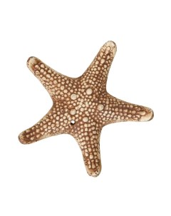 Декорация для аквариума Звезда коричневый керамика 16х16х2 7 см Орловская керамика