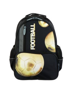 Рюкзак школьный Золотой мяч 37 х 26 х 13 см эргономичная спинка Calligrata