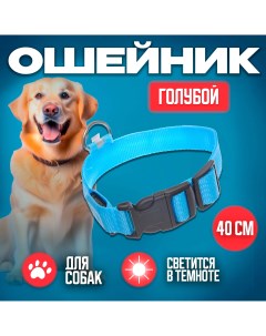 Ошейник для собак голубой 2 5х40см Ultramarine