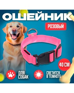 Ошейник для собак для дома и прогулок розовый 2 5х40см Ultramarine