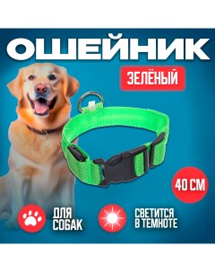 Ошейник для собак зеленый 2 5х40см Ultramarine