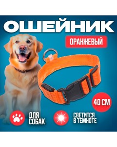 Ошейник для собак светящийся оранжевый 2 5х40см Ultramarine