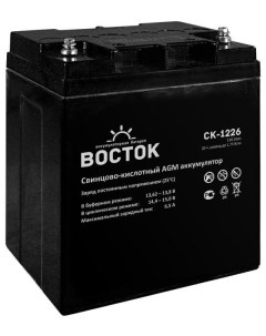 Батарея СК 1226 аккумуляторная 12В 26Ач 165 125 175 Vostok