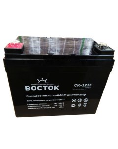 Батарея СК 1233 аккумуляторная 12В 33Ач 195 130 180 Vostok