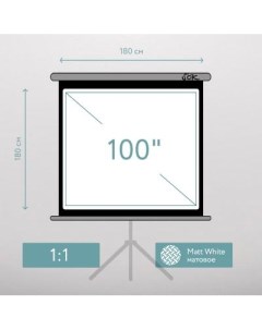Экран для проектора S OK SCPST 180x180GR 100 1 1 напольный на треноге матовый серый Sok