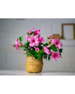 Искусственный цветок в горшке ГИБИСКУС РОЗОВЫЙ 35х20 см Koopman international