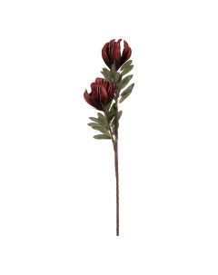 Искусственный цветок леукадендрон chuangxin 79 см Linyi