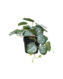 Искусственное растение ЦЕРОПЕГИЯ 18 см Kaemingk