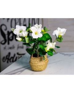 Искусственный цветок в горшке ГИБИСКУС БЕЛЫЙ 35х20 см Koopman international