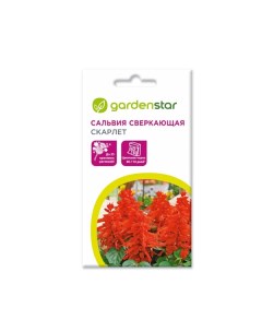 Семена Сальвия Сверкающая Скарлет 0 1 г Garden star