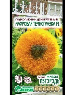 Семена цветов Подсолнечник декоративный Махровая Темноглазка 31415 1 шт Евросемена