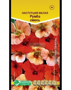 Семена цветов Настурция малая Румба смесь 31410 1 шт Евросемена