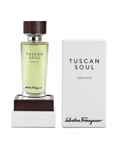 Tuscan Soul Convivio Salvatore ferragamo