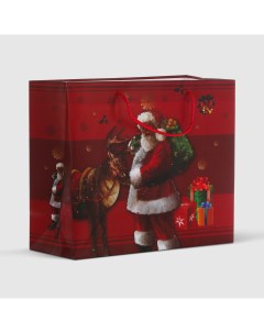 Пакет подарочный babbo natale 3D 26x12x31 см Due esse christmas