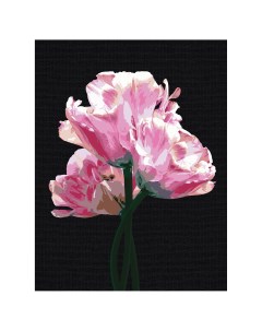 Картина по номерам на черном холсте Розовые цветы 30 40 см c акриловыми красками и кист Три совы