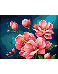 Картина по номерам на холсте Яблоневый цвет 30 40 см с акриловыми красками и кистями Три совы