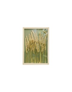 Картина с пшеницей Wowbotanica