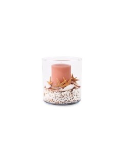 Розовая свеча с ракушками в стекле Wowbotanica
