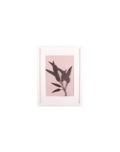 Картина панно с эвкалиптом Розовый 20 Wowbotanica