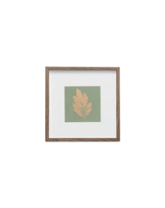 Картина с оттиском листа хризантемы Wowbotanica
