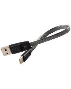 Кабель USB Type C 2A 20 см серебристый УТ000031032 Red line